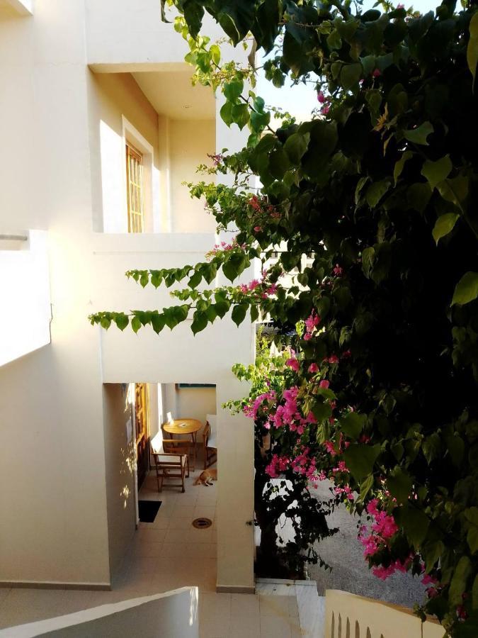 Irini Apartments Platanés المظهر الخارجي الصورة