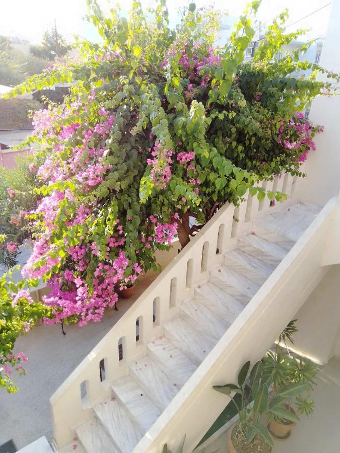 Irini Apartments Platanés المظهر الخارجي الصورة