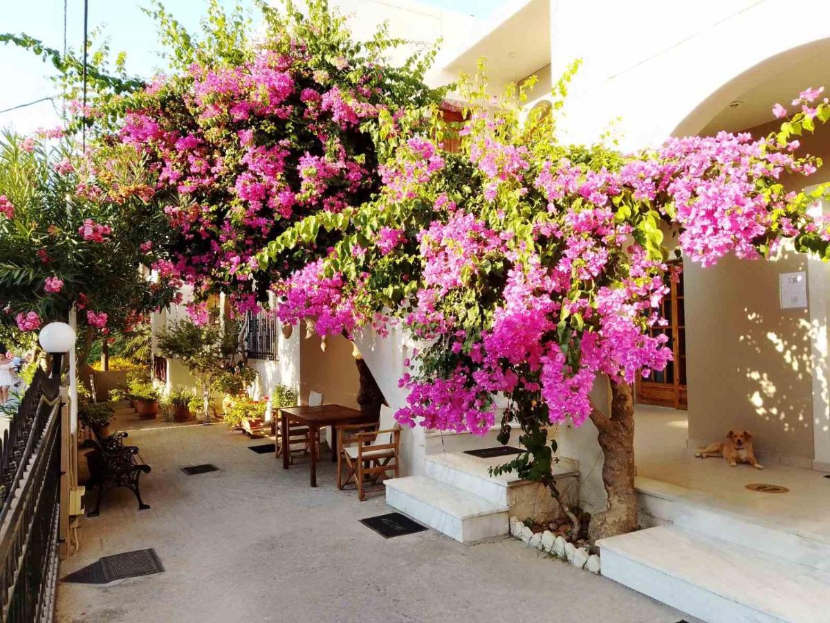 Irini Apartments Platanés المظهر الخارجي الصورة